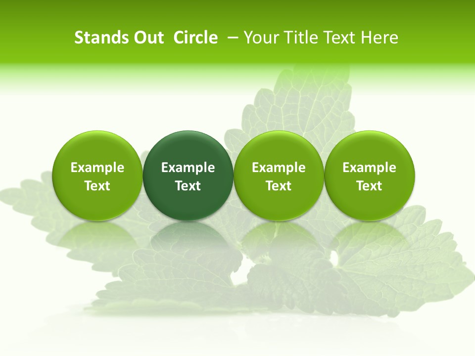 Melissa Leaf PowerPoint Template