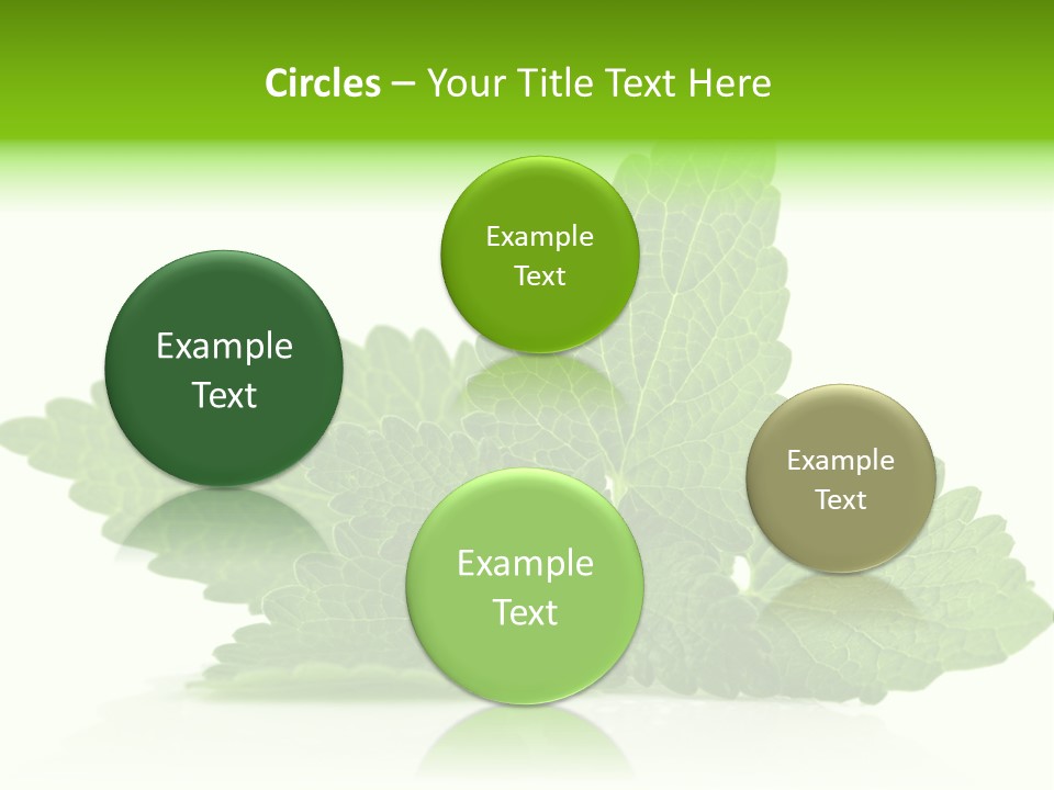 Melissa Leaf PowerPoint Template