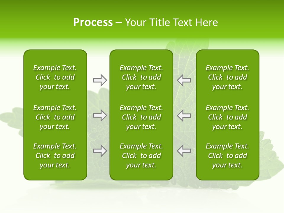 Melissa Leaf PowerPoint Template