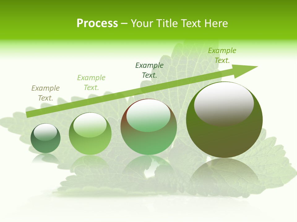 Melissa Leaf PowerPoint Template