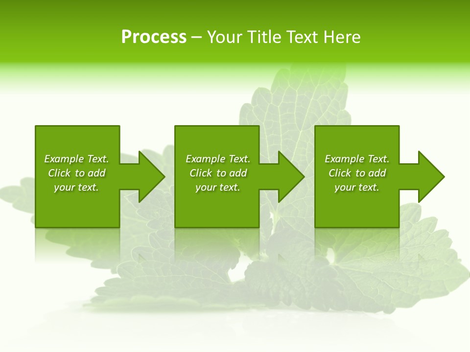 Melissa Leaf PowerPoint Template