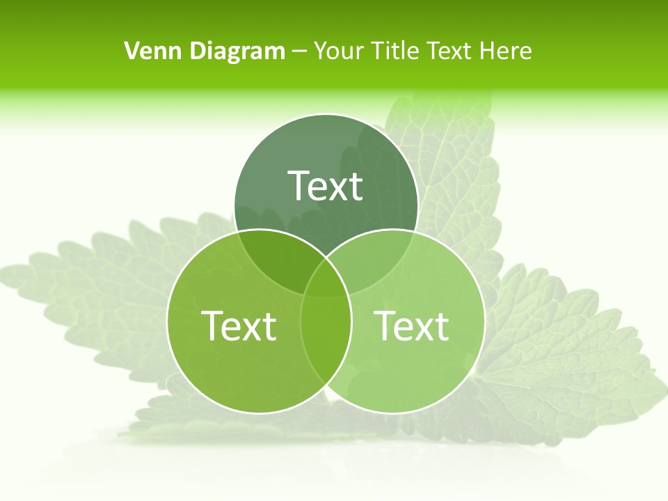 Melissa Leaf PowerPoint Template