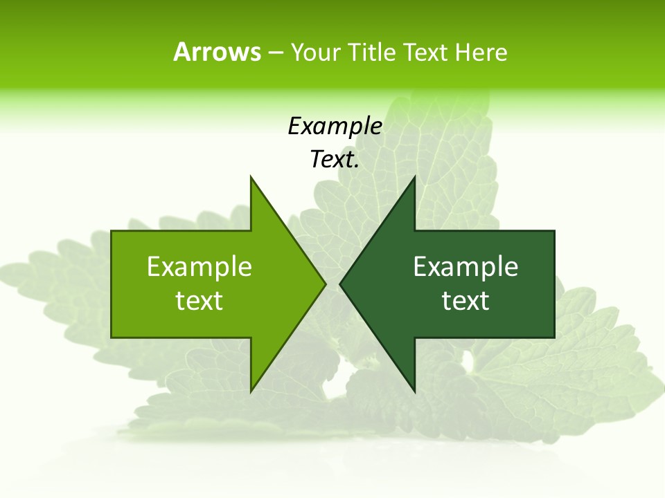 Melissa Leaf PowerPoint Template