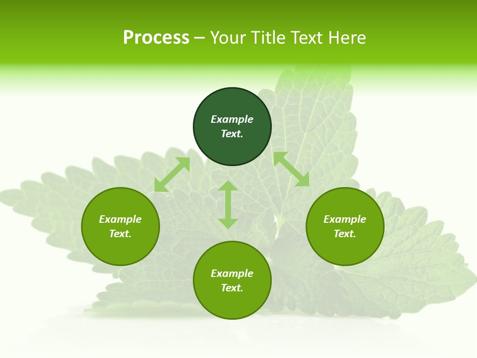 Melissa Leaf PowerPoint Template
