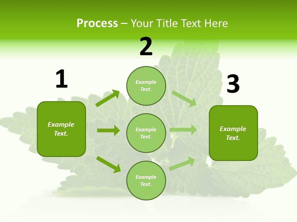 Melissa Leaf PowerPoint Template