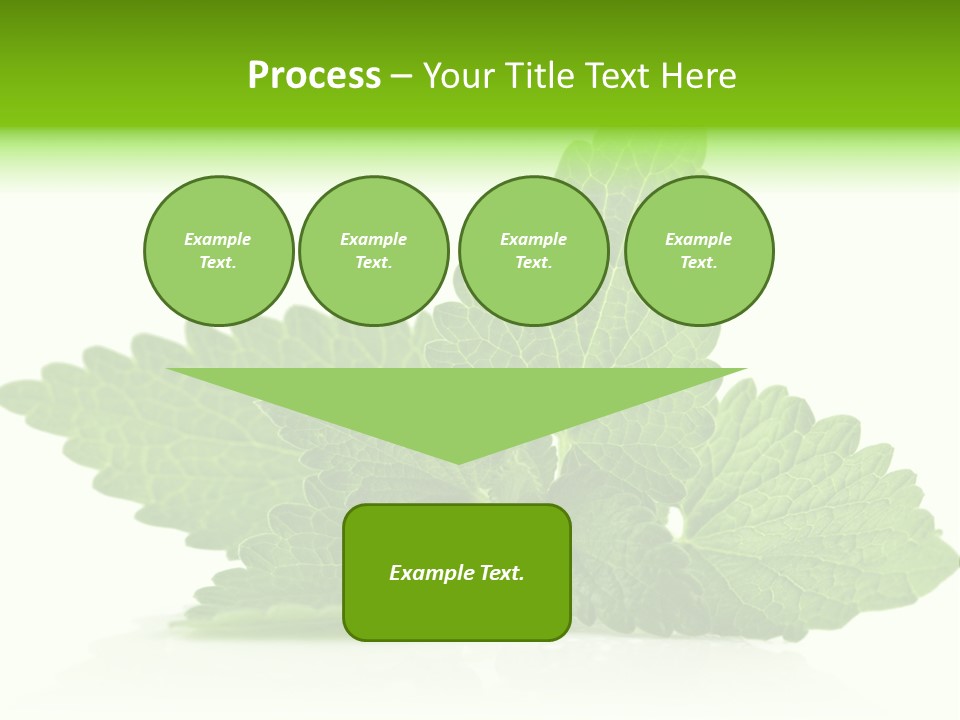 Melissa Leaf PowerPoint Template
