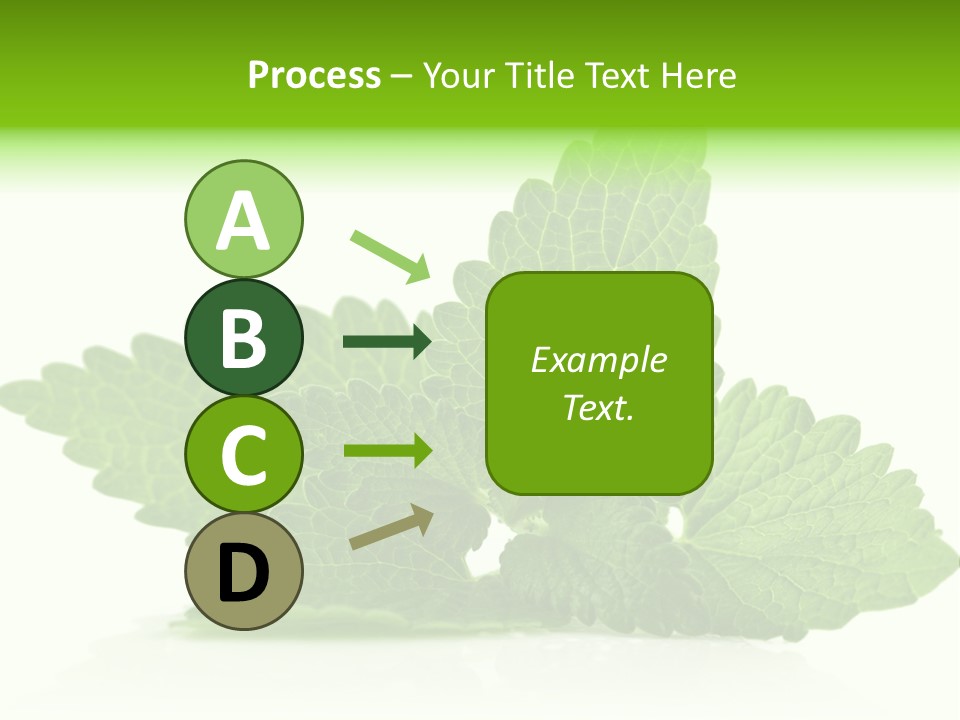 Melissa Leaf PowerPoint Template