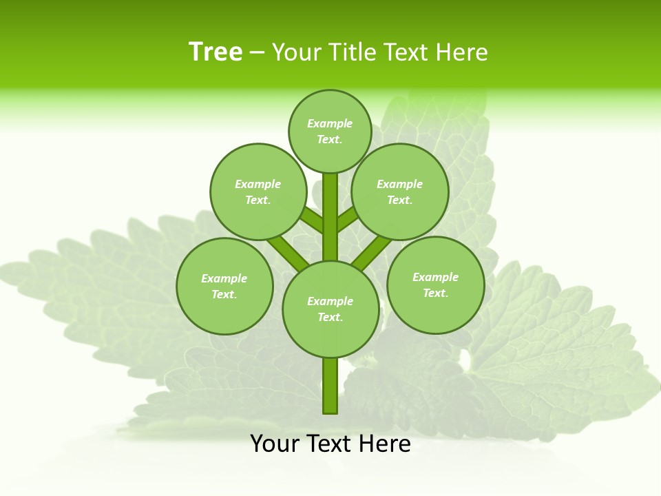 Melissa Leaf PowerPoint Template