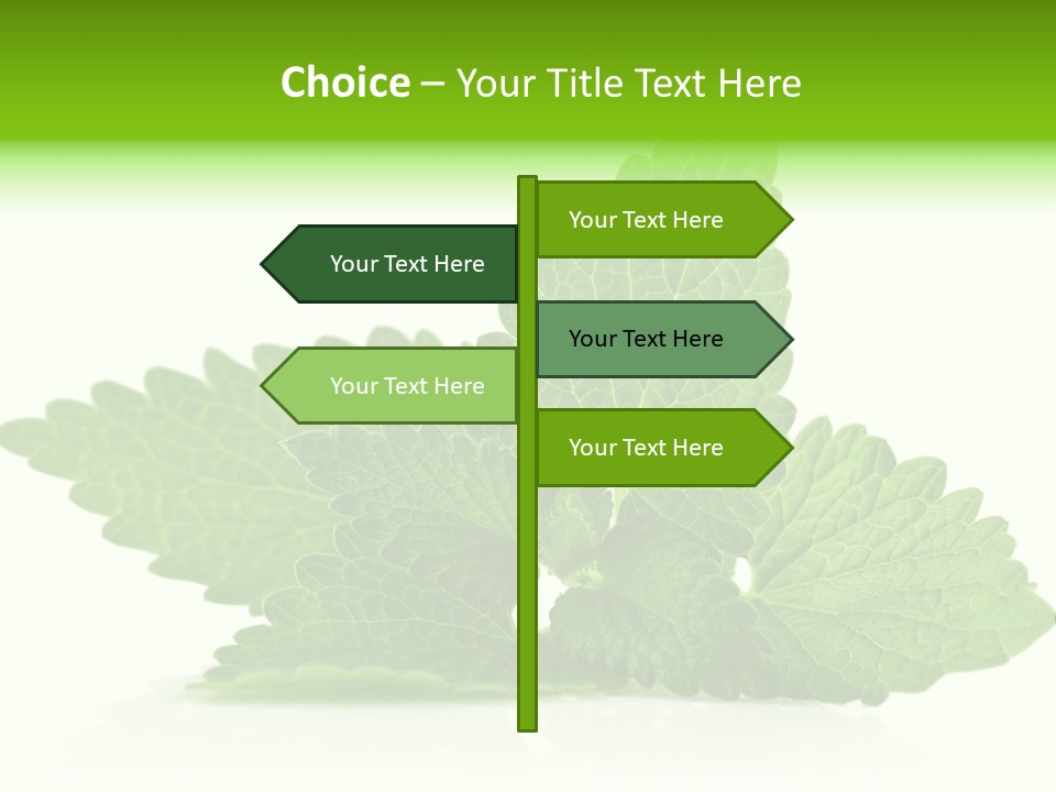 Melissa Leaf PowerPoint Template