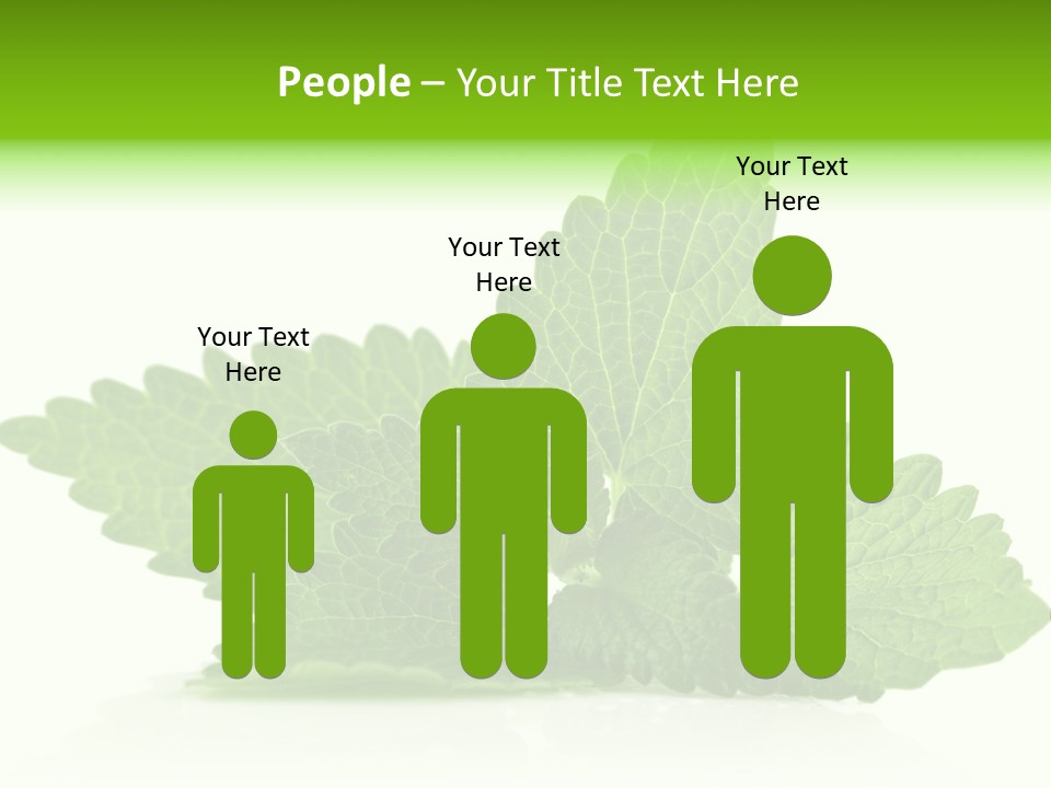 Melissa Leaf PowerPoint Template