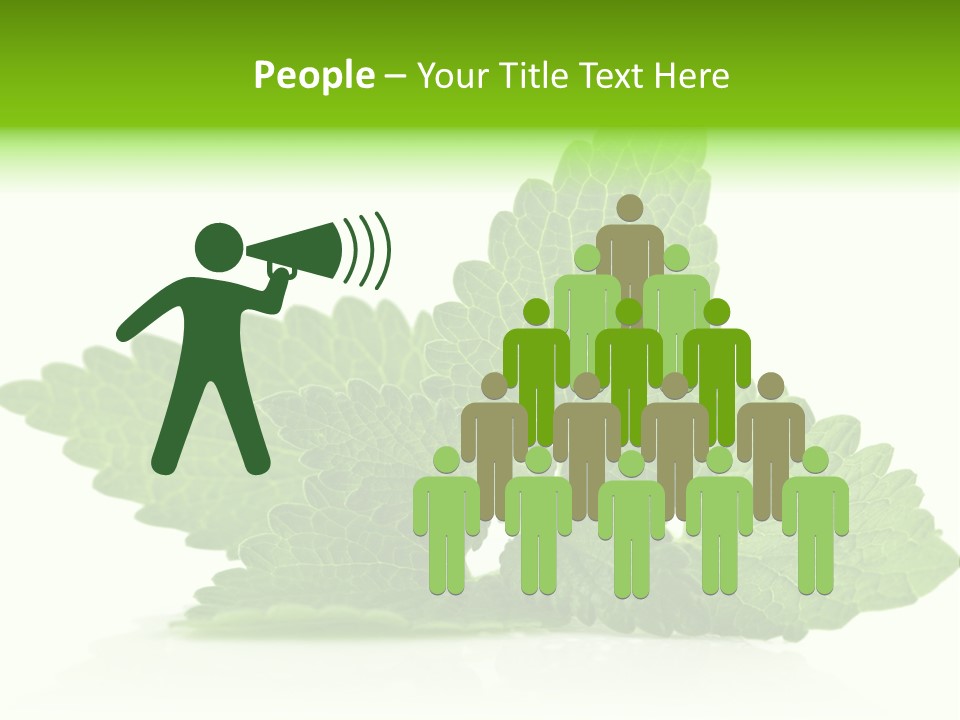 Melissa Leaf PowerPoint Template