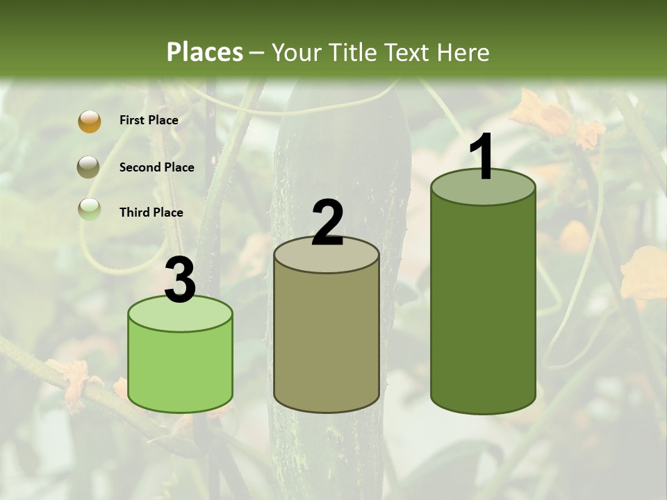 New Cultivated Fresh PowerPoint Template