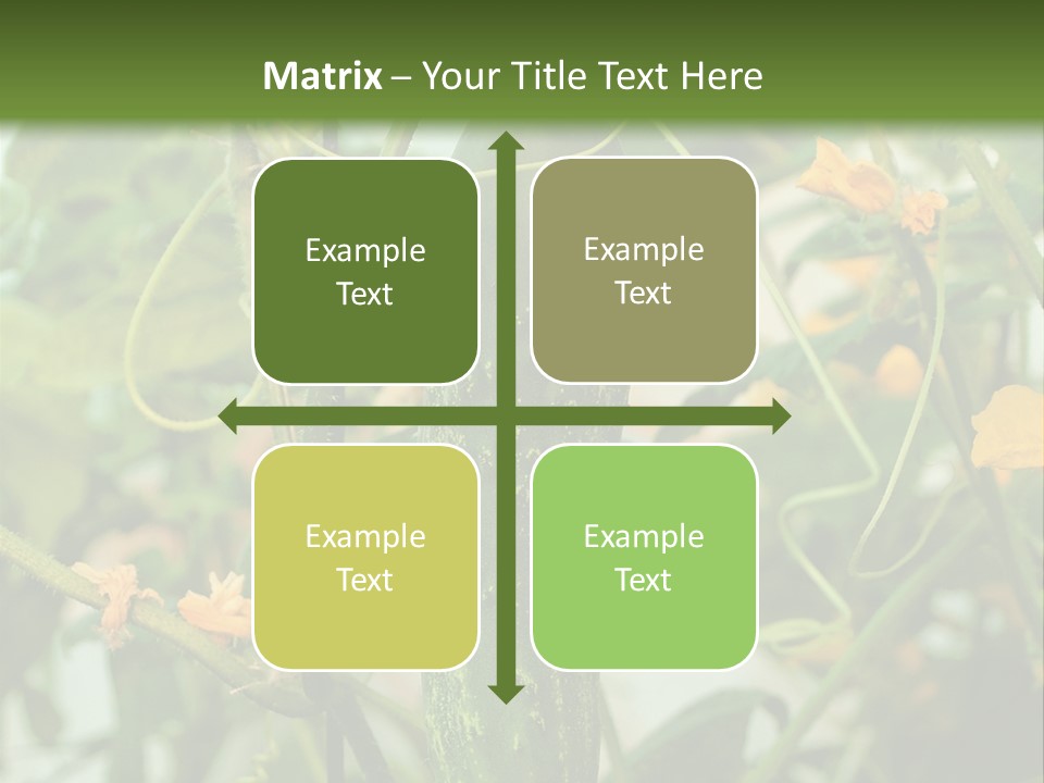 New Cultivated Fresh PowerPoint Template