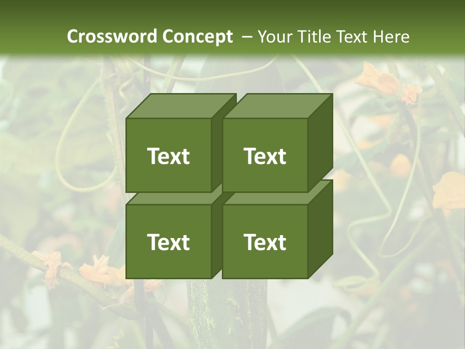 New Cultivated Fresh PowerPoint Template