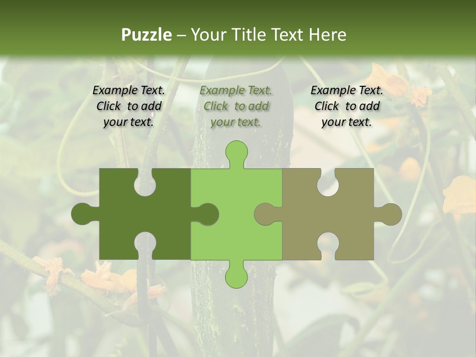 New Cultivated Fresh PowerPoint Template