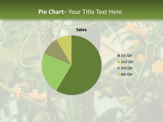 New Cultivated Fresh PowerPoint Template