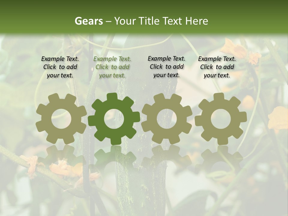 New Cultivated Fresh PowerPoint Template