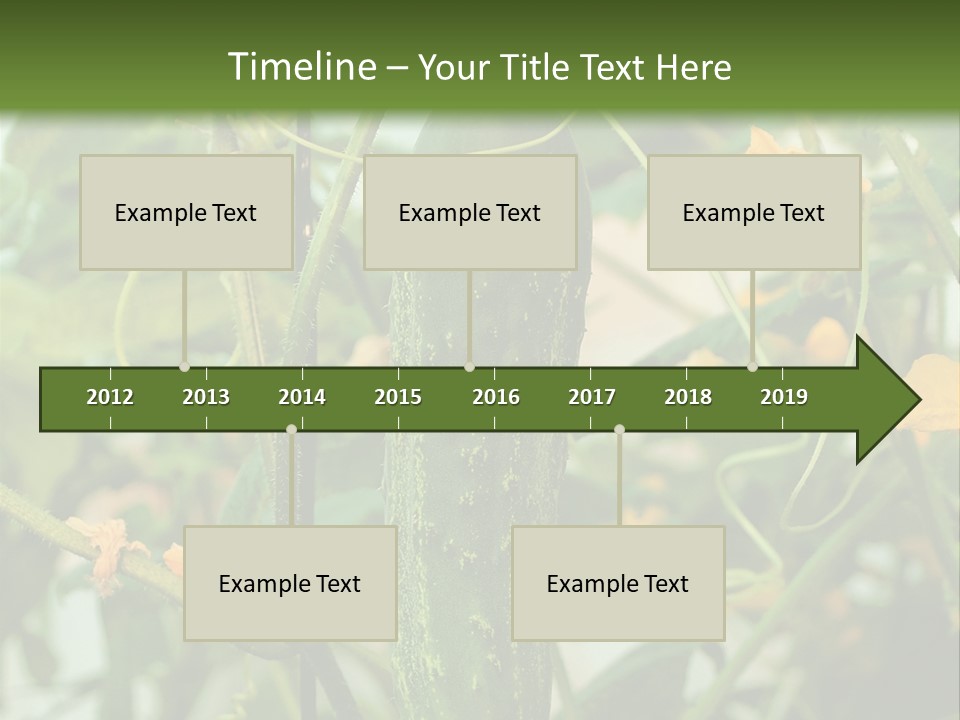 New Cultivated Fresh PowerPoint Template