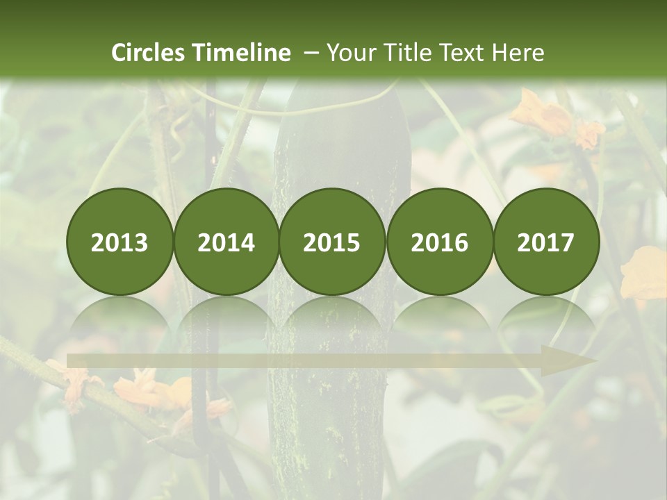 New Cultivated Fresh PowerPoint Template
