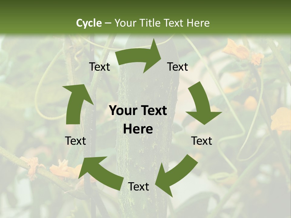 New Cultivated Fresh PowerPoint Template