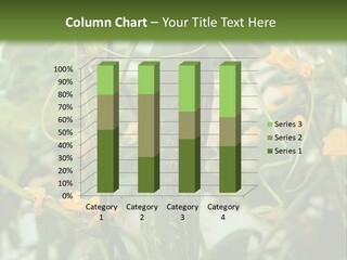 New Cultivated Fresh PowerPoint Template