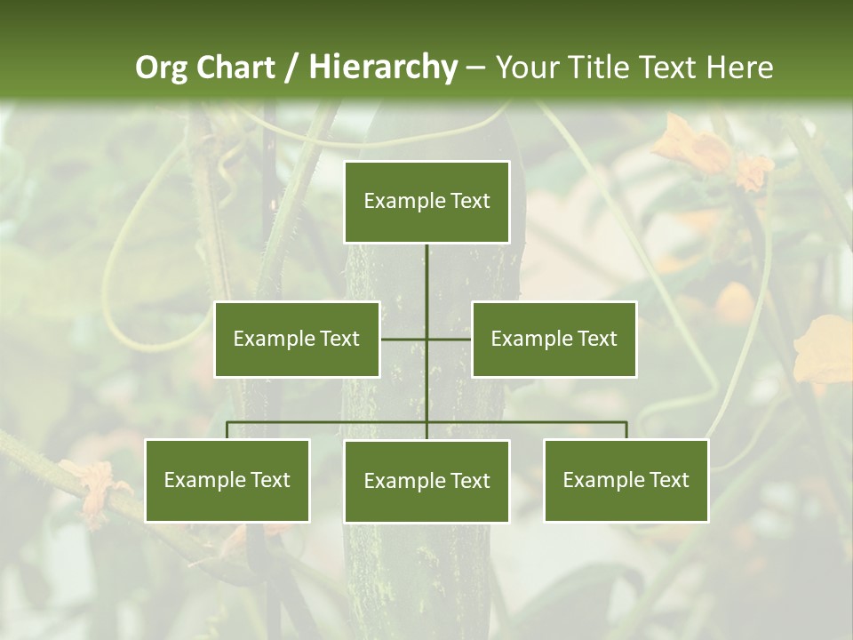 New Cultivated Fresh PowerPoint Template