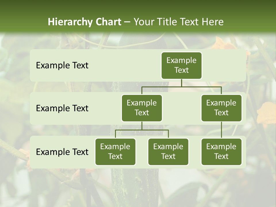 New Cultivated Fresh PowerPoint Template