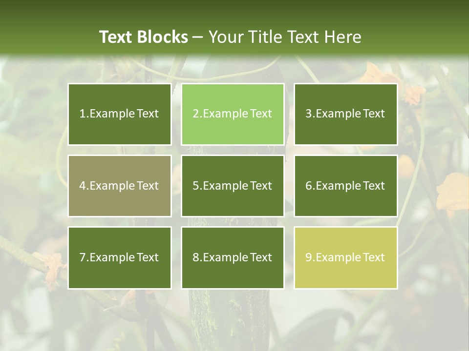 New Cultivated Fresh PowerPoint Template