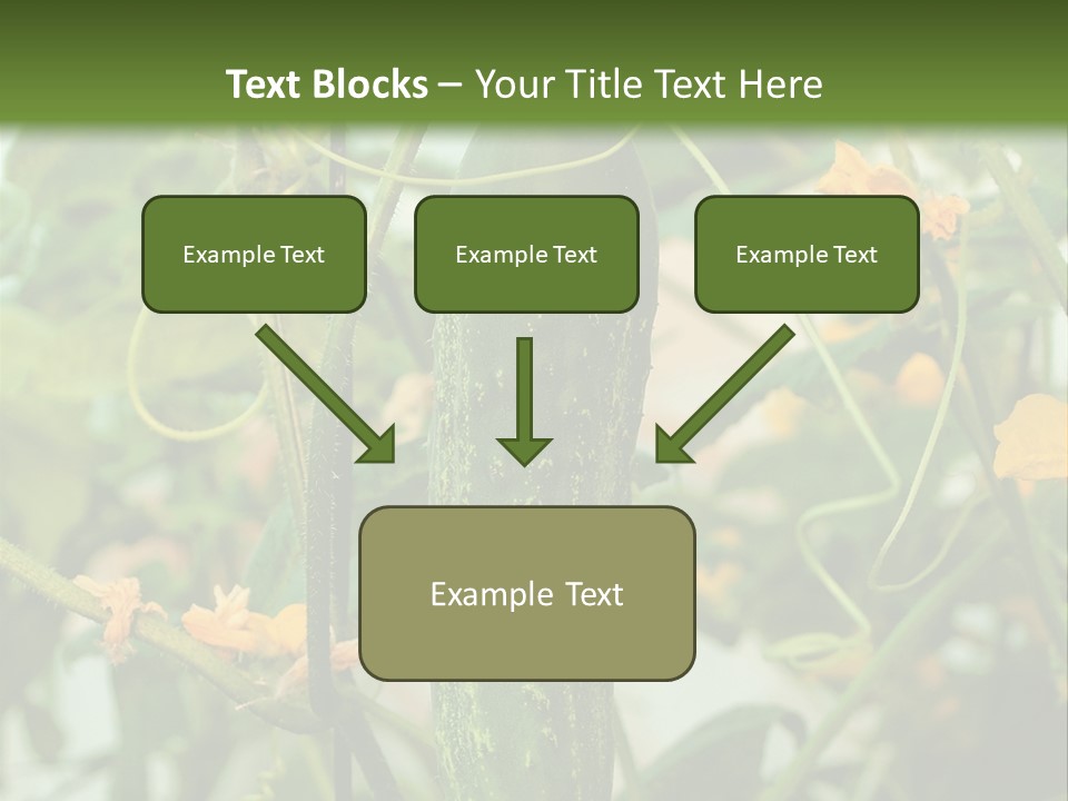 New Cultivated Fresh PowerPoint Template