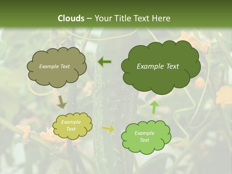New Cultivated Fresh PowerPoint Template