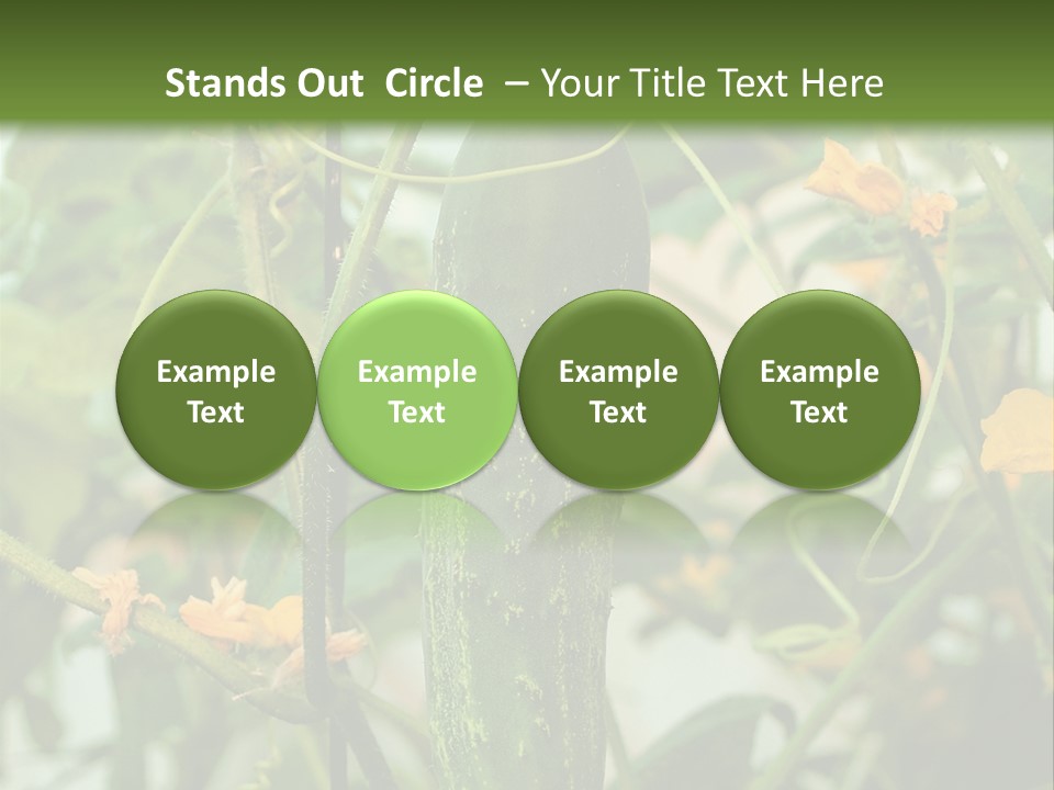 New Cultivated Fresh PowerPoint Template