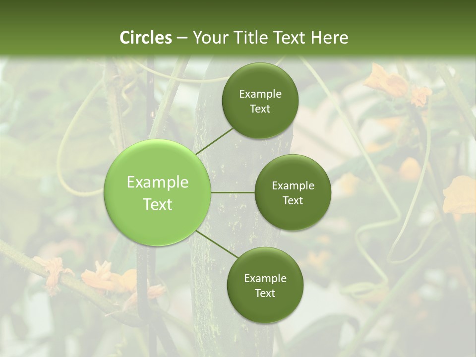 New Cultivated Fresh PowerPoint Template