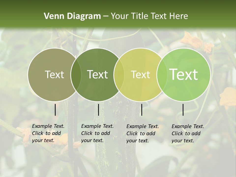 New Cultivated Fresh PowerPoint Template