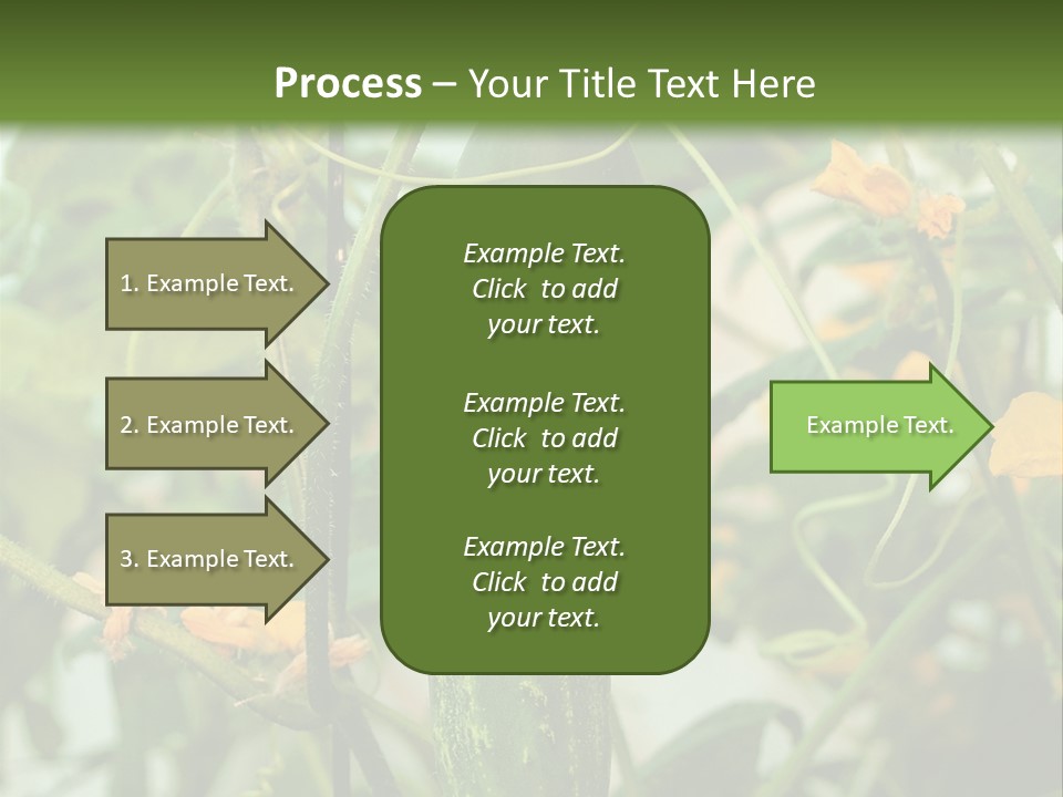 New Cultivated Fresh PowerPoint Template