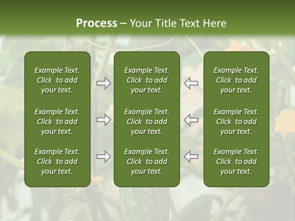 New Cultivated Fresh PowerPoint Template