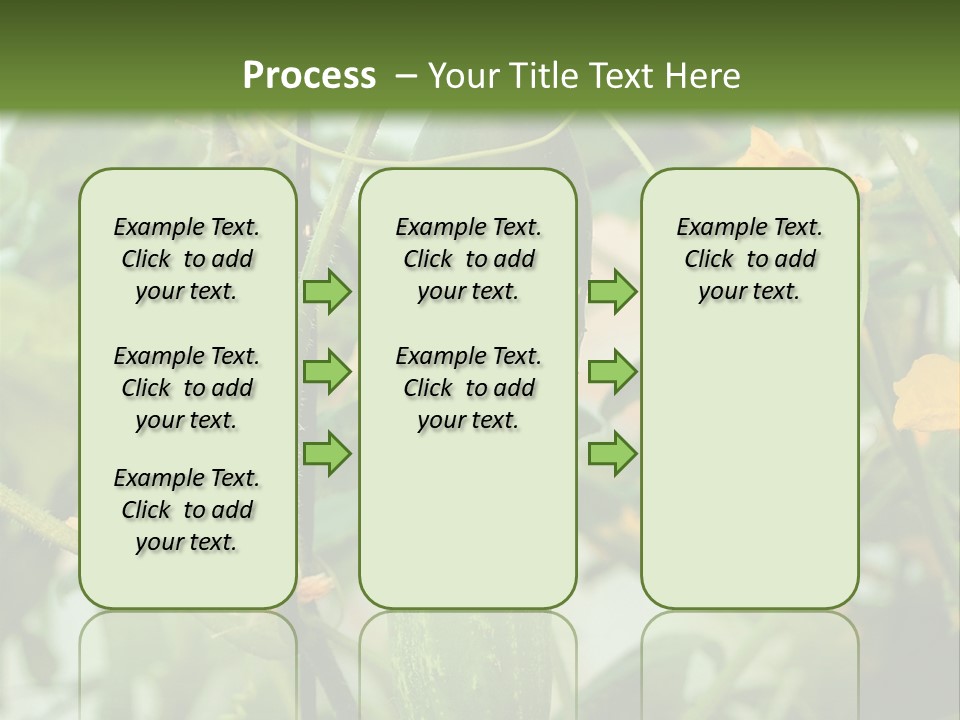 New Cultivated Fresh PowerPoint Template
