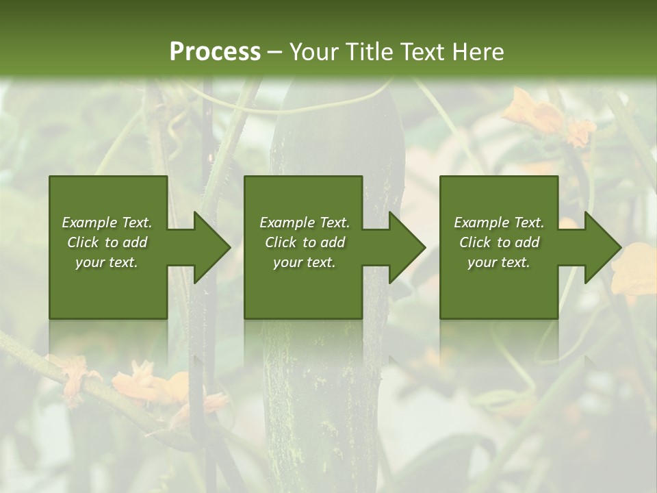 New Cultivated Fresh PowerPoint Template