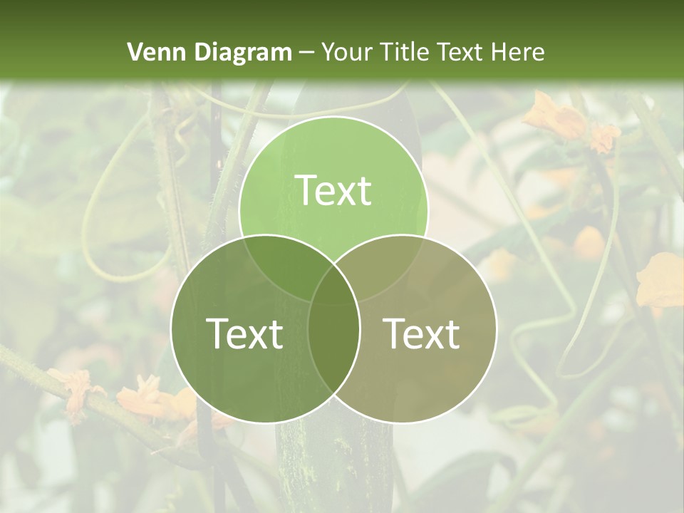 New Cultivated Fresh PowerPoint Template