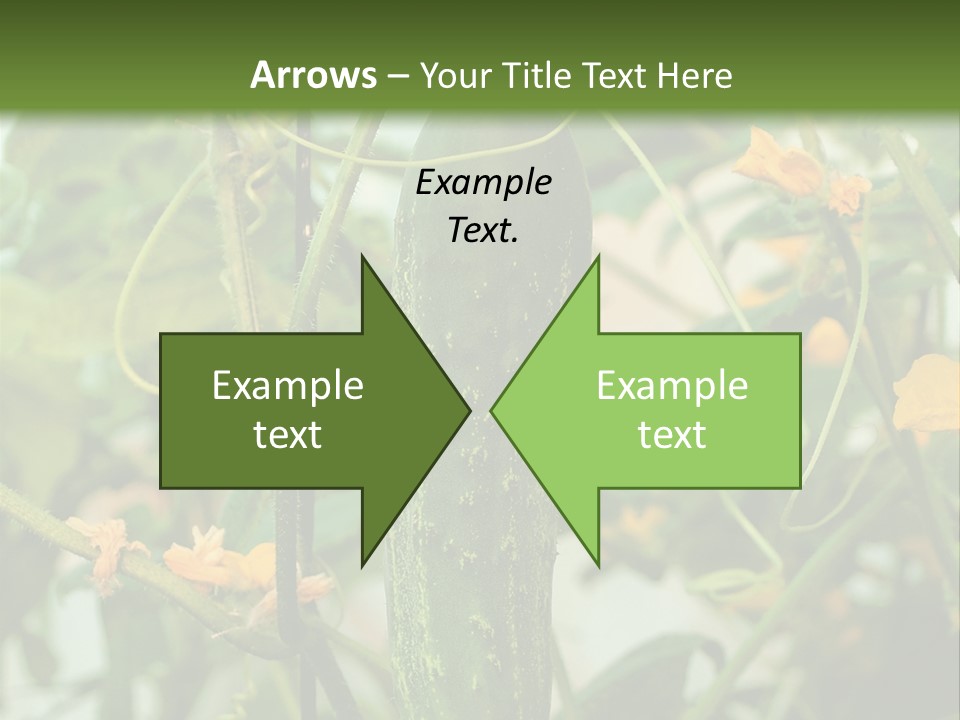New Cultivated Fresh PowerPoint Template