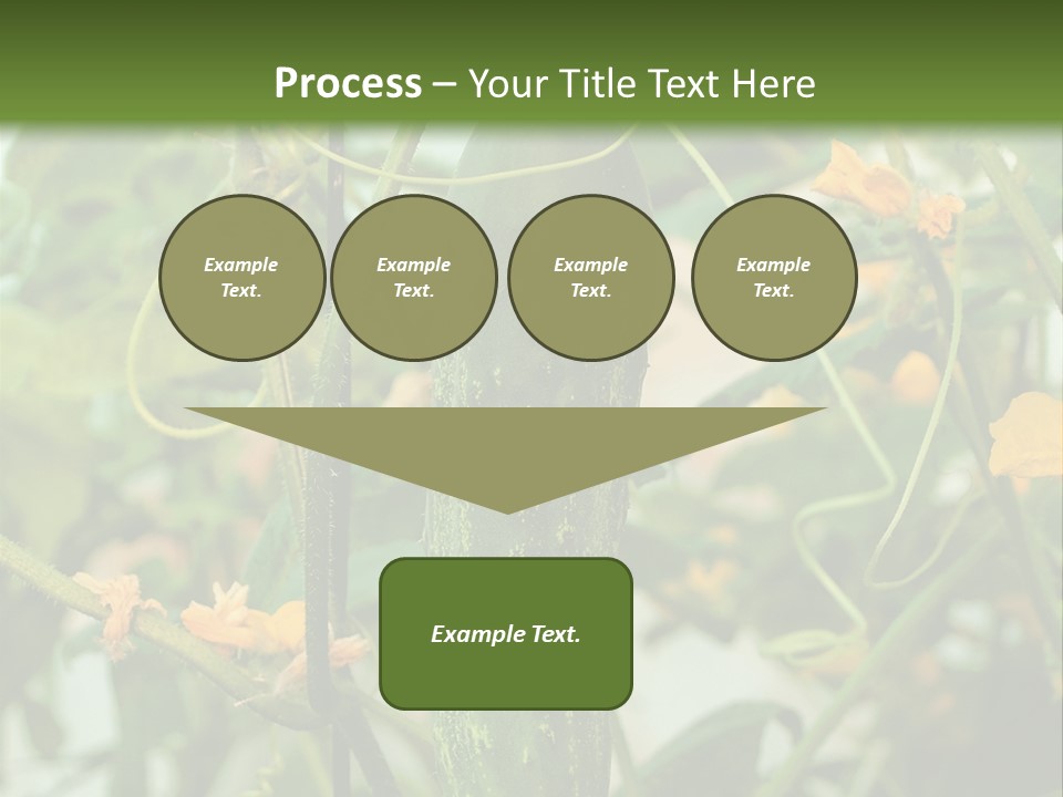 New Cultivated Fresh PowerPoint Template