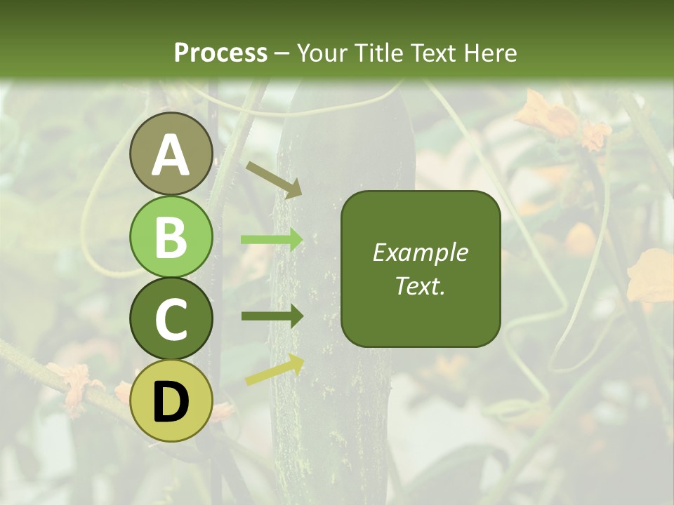 New Cultivated Fresh PowerPoint Template