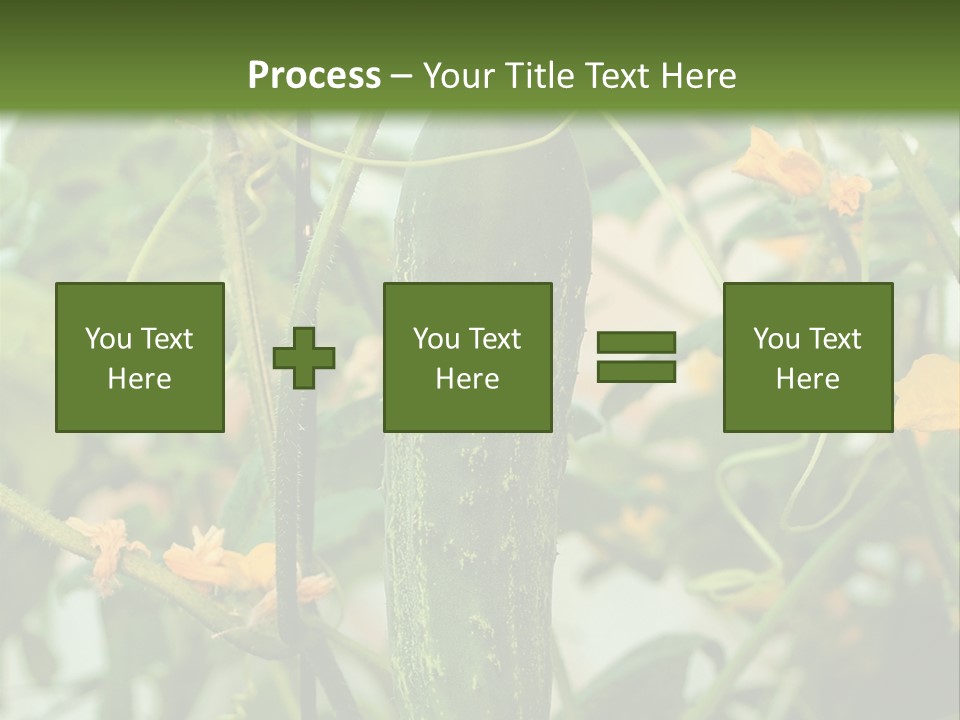 New Cultivated Fresh PowerPoint Template