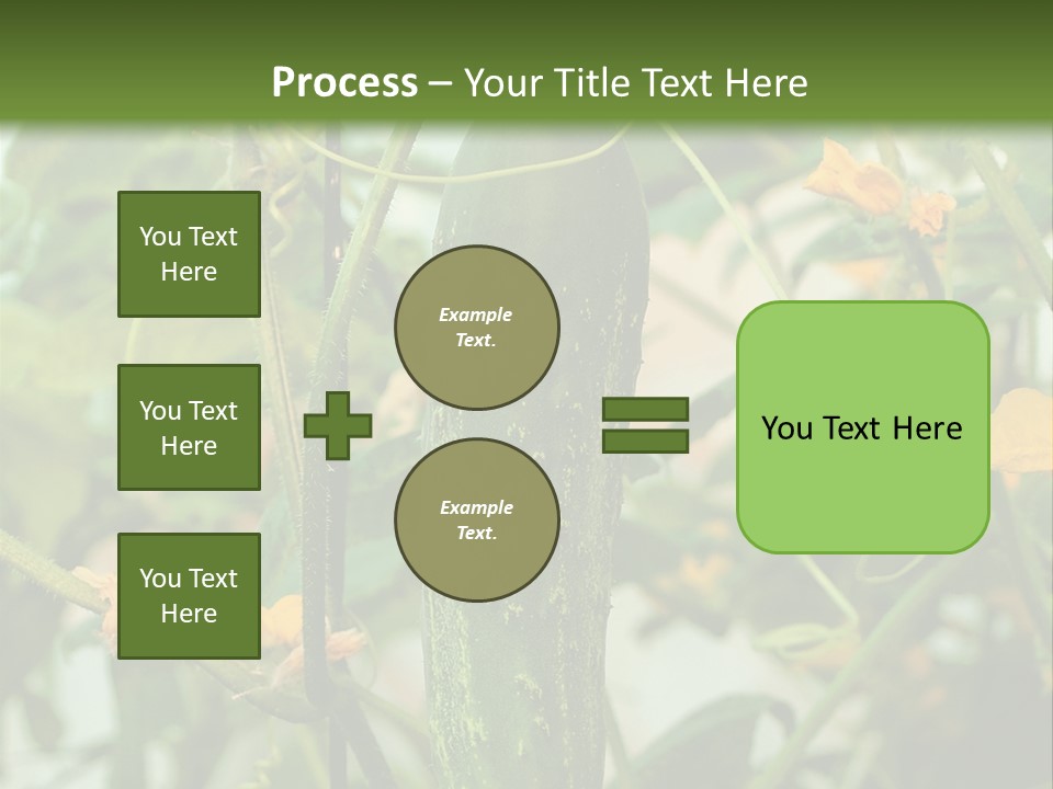 New Cultivated Fresh PowerPoint Template