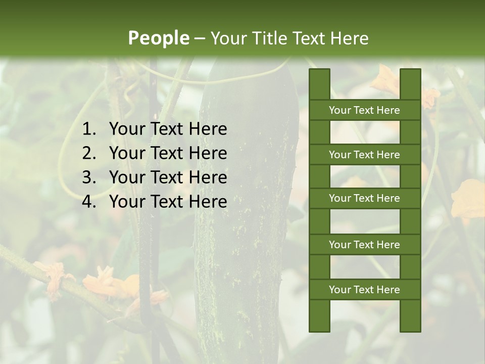 New Cultivated Fresh PowerPoint Template