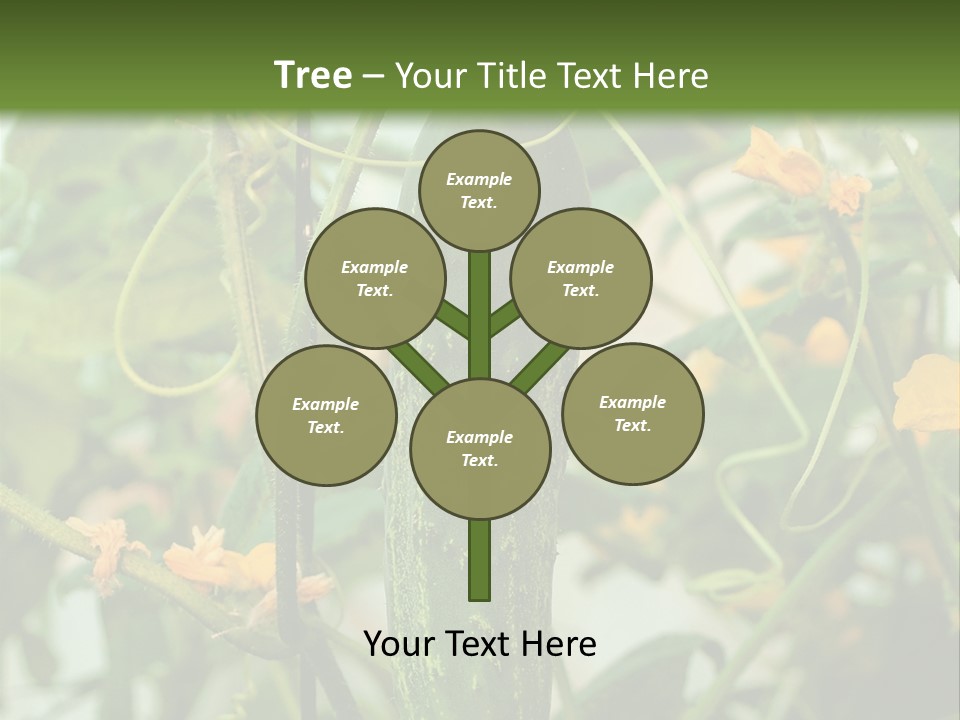 New Cultivated Fresh PowerPoint Template