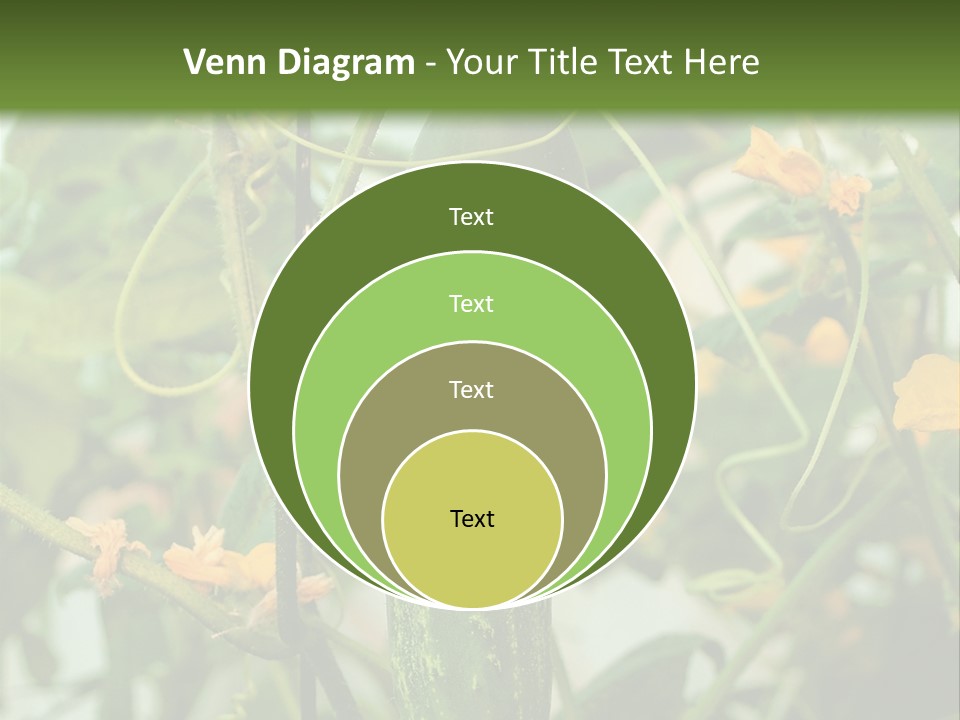 New Cultivated Fresh PowerPoint Template