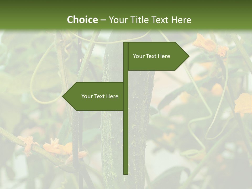New Cultivated Fresh PowerPoint Template