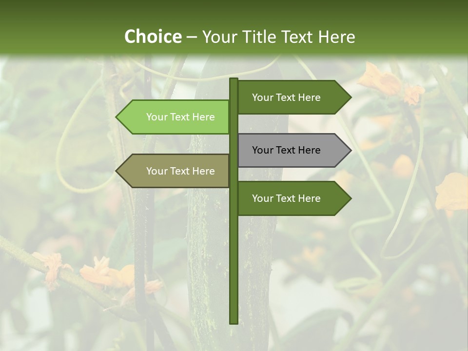 New Cultivated Fresh PowerPoint Template