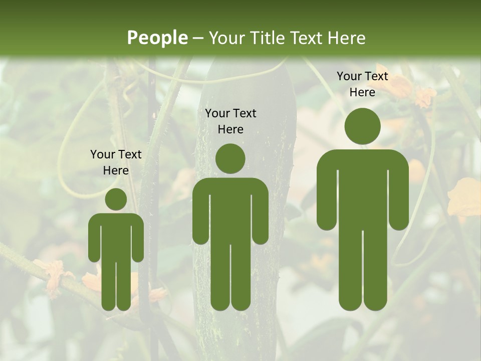 New Cultivated Fresh PowerPoint Template