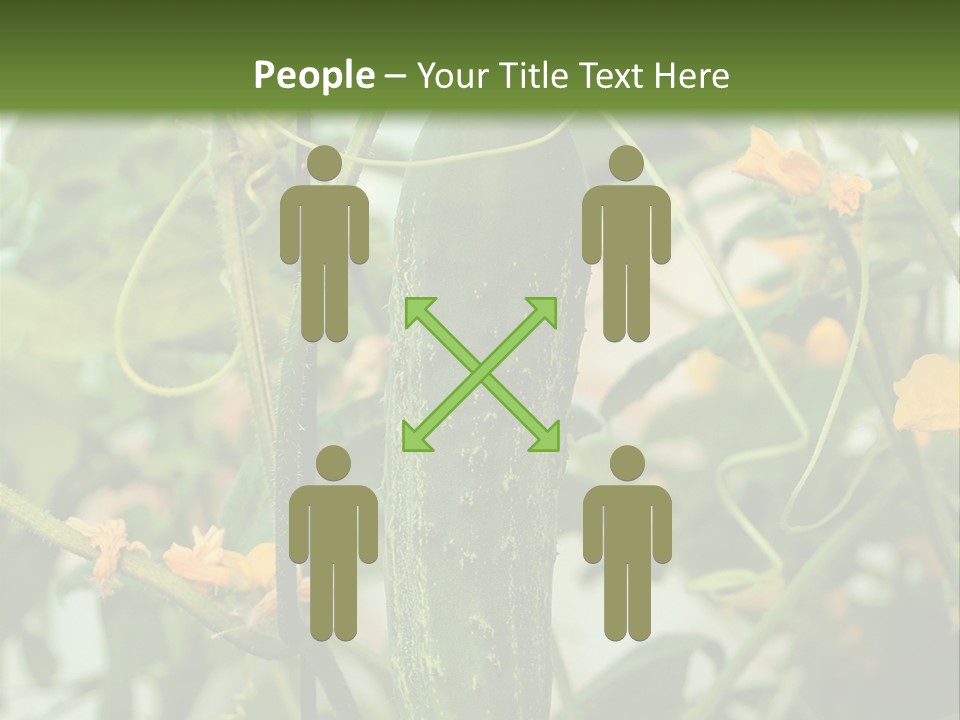 New Cultivated Fresh PowerPoint Template